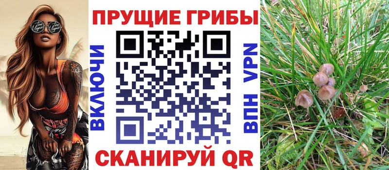 Галлюциногенные грибы мицелий  Микунь 